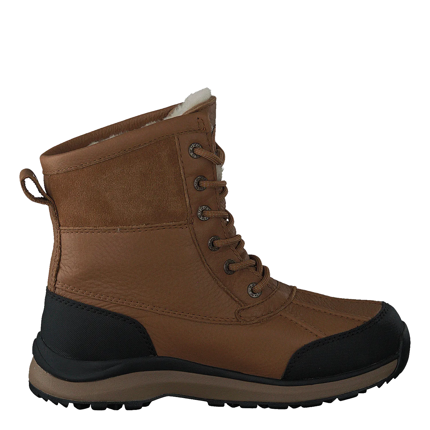 Adirondack Iii Hiker Chestnut